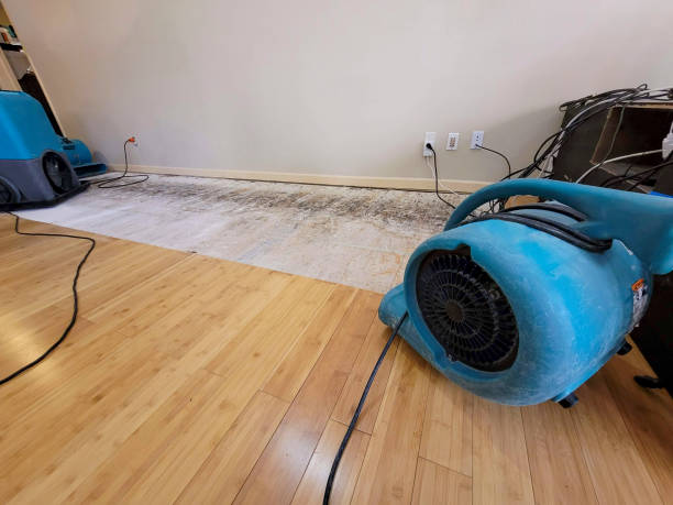 Professional Water Damage Repair technician working in Rosenberg, TX